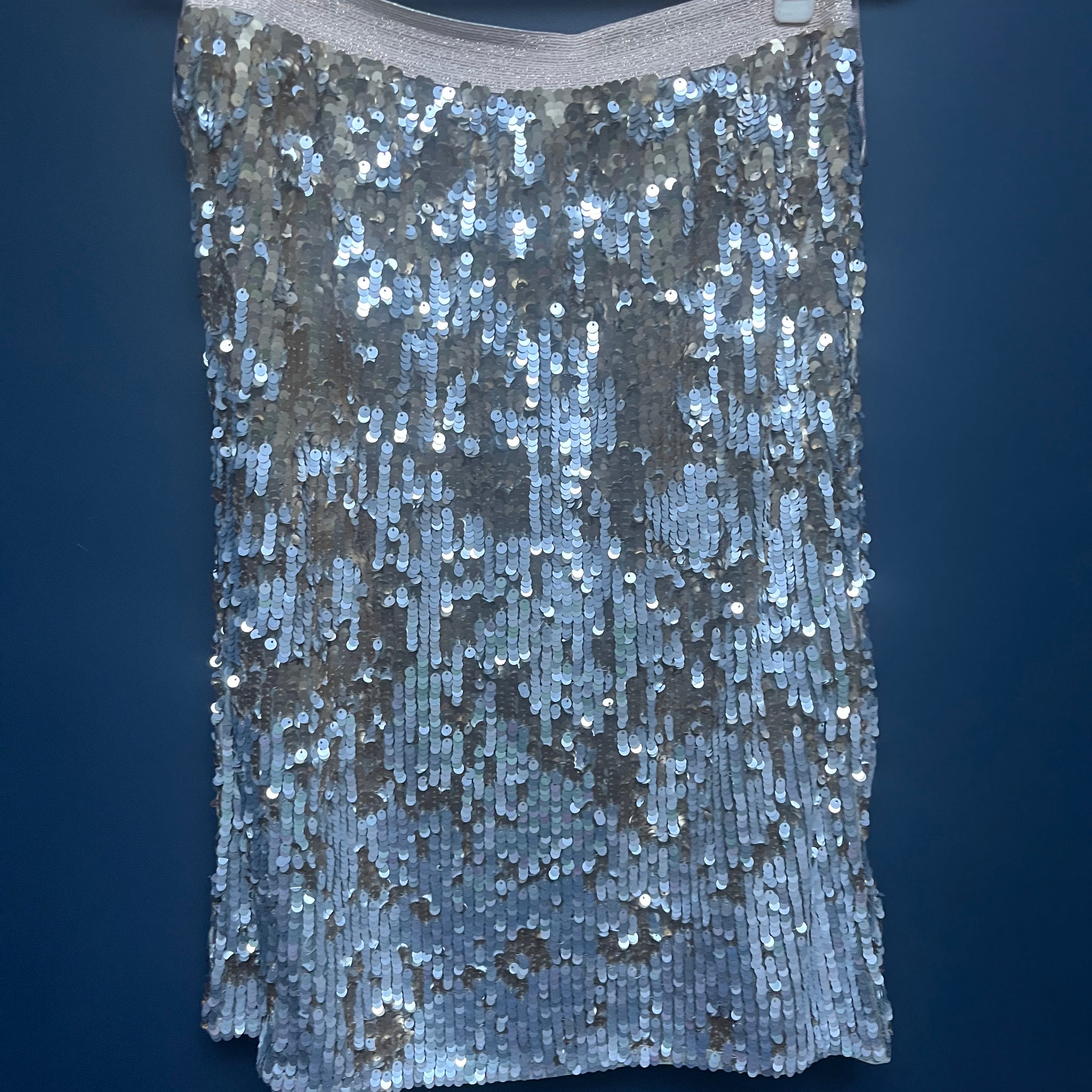 Hush gold silver sequin skirt 12