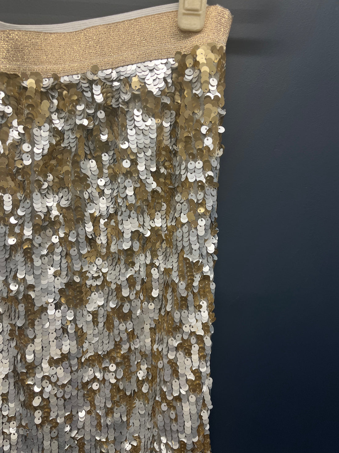 Hush sequin skirt 12