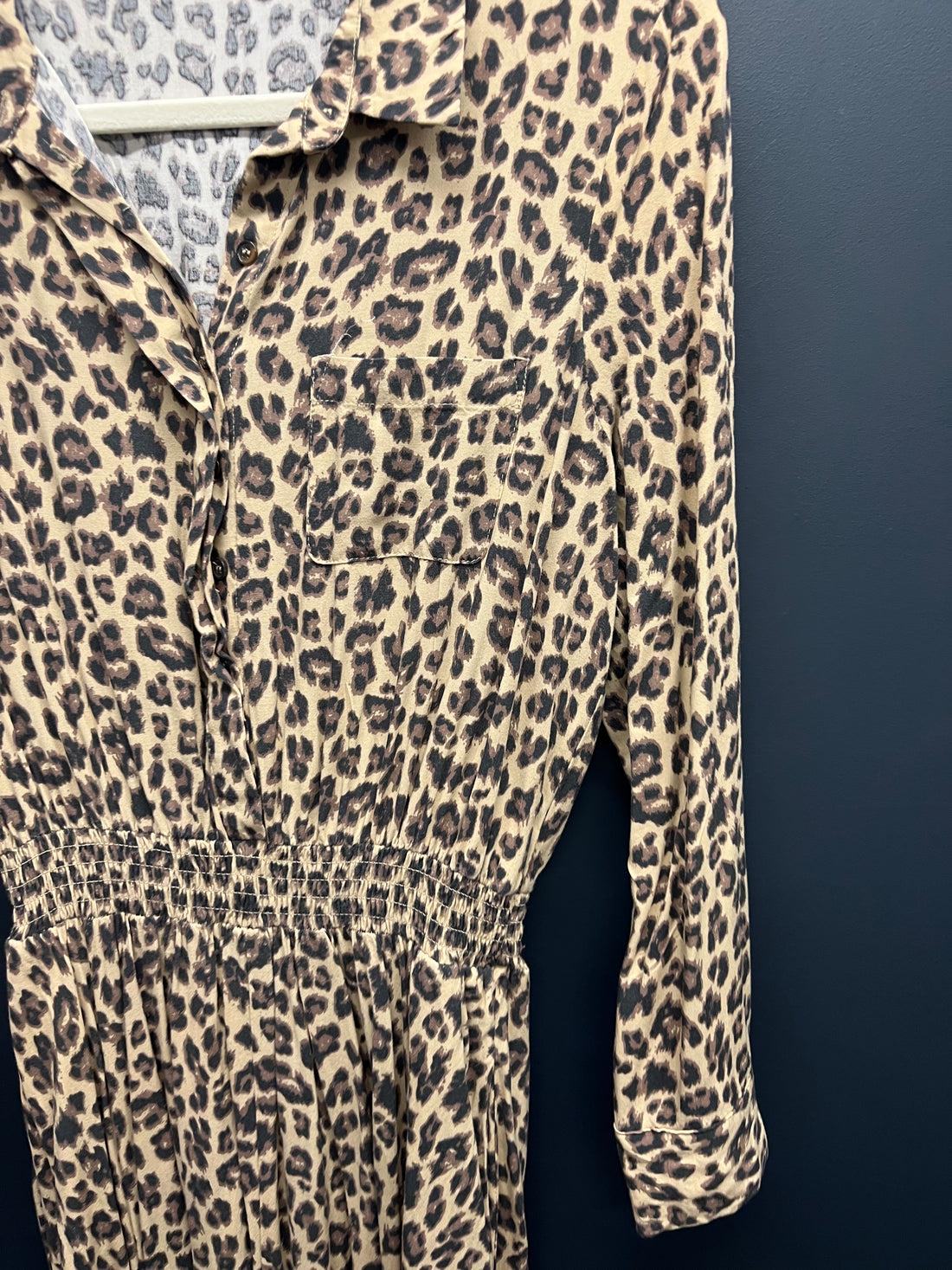 Hush Kensington leopard dress 10