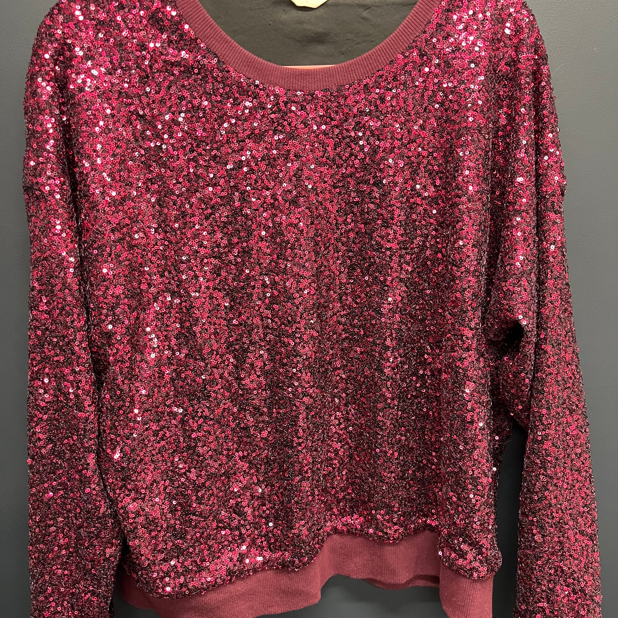 Hush ryker sequin sweatshirt large