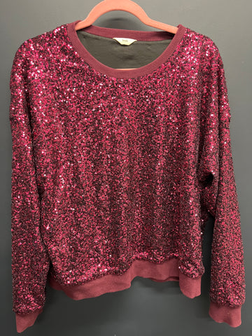 Hush ryker sequin sweatshirt large